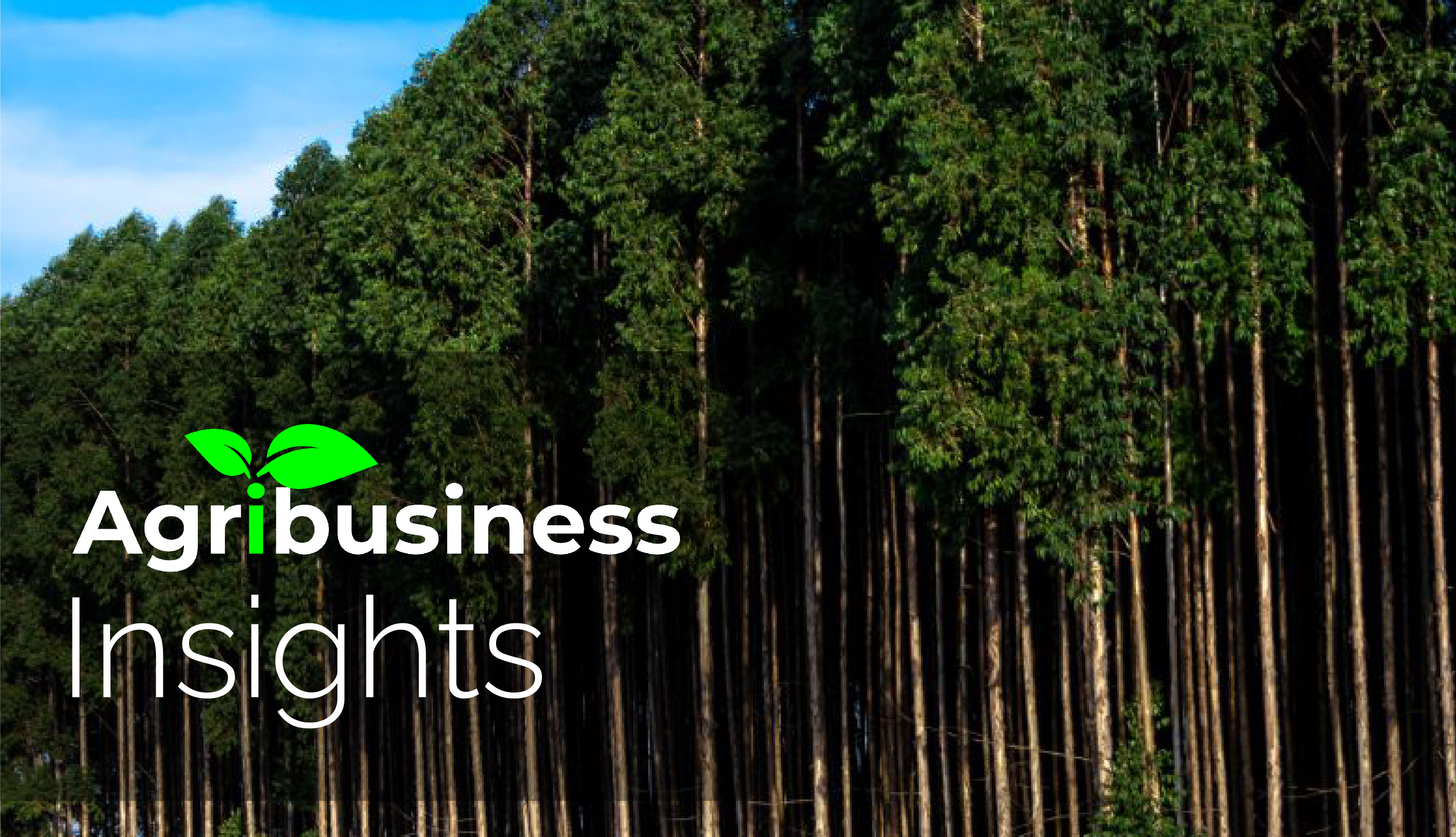 Agribusiness insights (Tree planting)